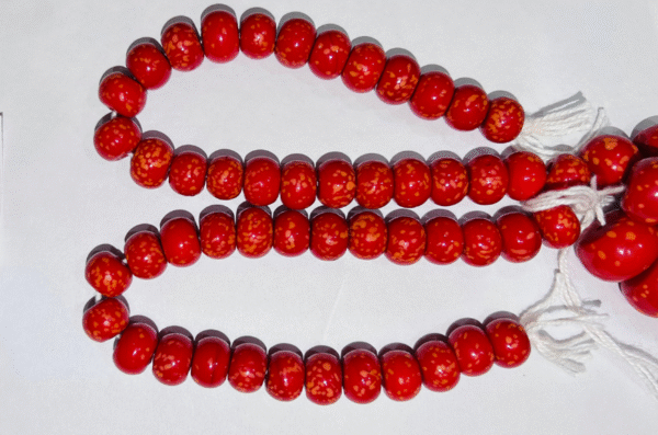 Coral Color Double Shade (KZG-1084)